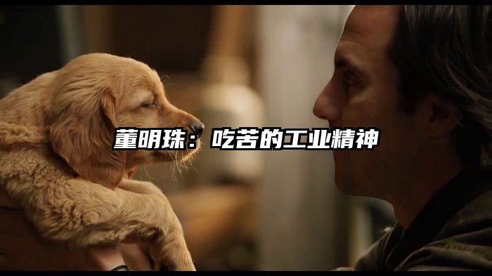 董明珠：吃苦的工业精神