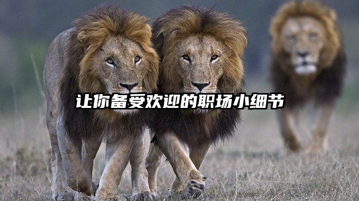 让你备受欢迎的职场小细节