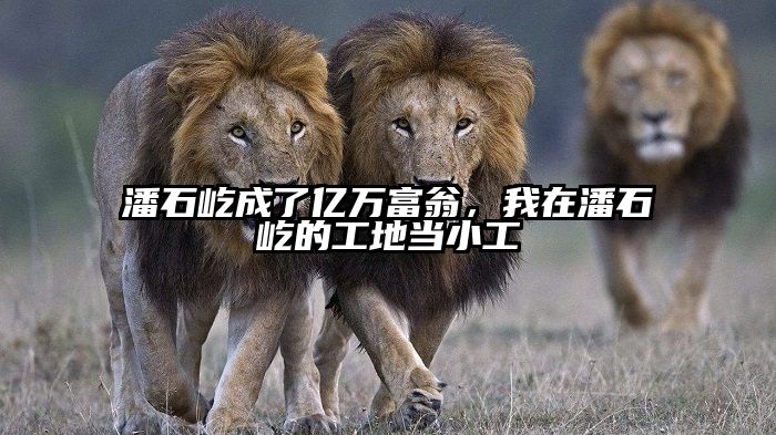 潘石屹成了亿万富翁，我在潘石屹的工地当小工