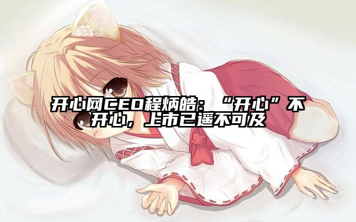 开心网CEO程炳皓：“开心”不开心，上市已遥不可及