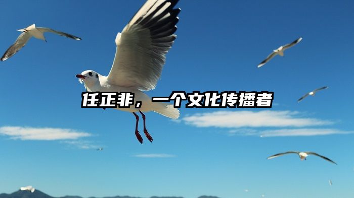 任正非，一个文化传播者