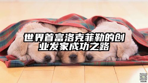 世界首富洛克菲勒的创业发家成功之路