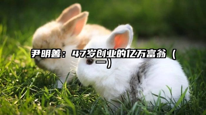 尹明善：47岁创业的亿万富翁（一）
