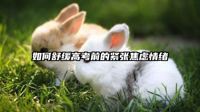 如何舒缓高考前的紧张焦虑情绪