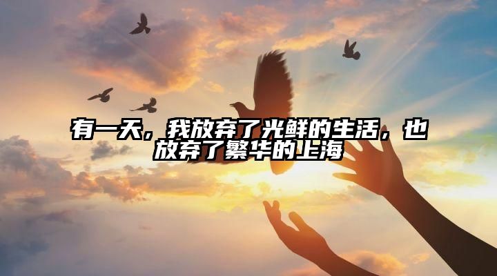 有一天，我放弃了光鲜的生活，也放弃了繁华的上海