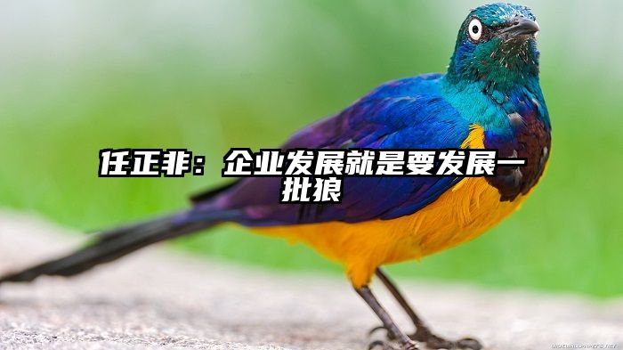 任正非：企业发展就是要发展一批狼