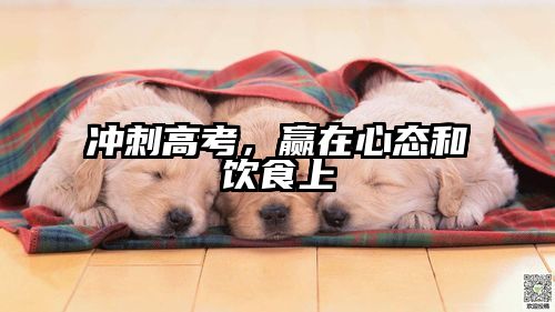 冲刺高考，赢在心态和饮食上