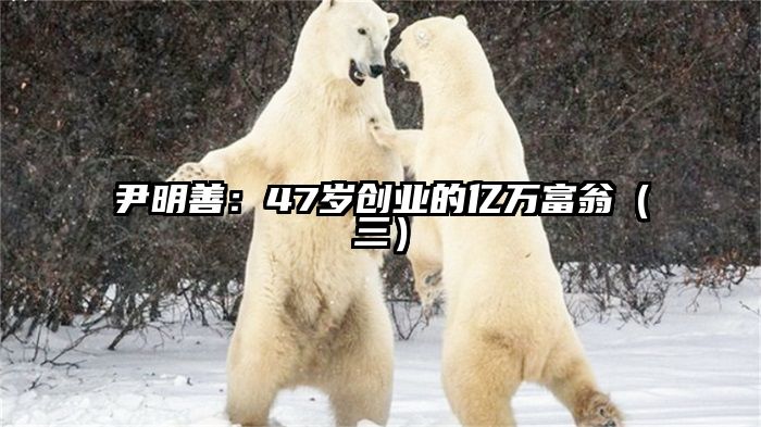 尹明善：47岁创业的亿万富翁（三）