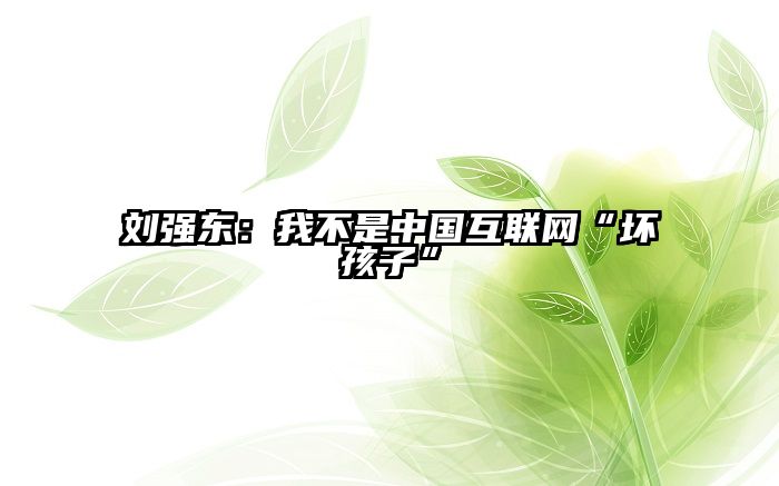 刘强东：我不是中国互联网“坏孩子”