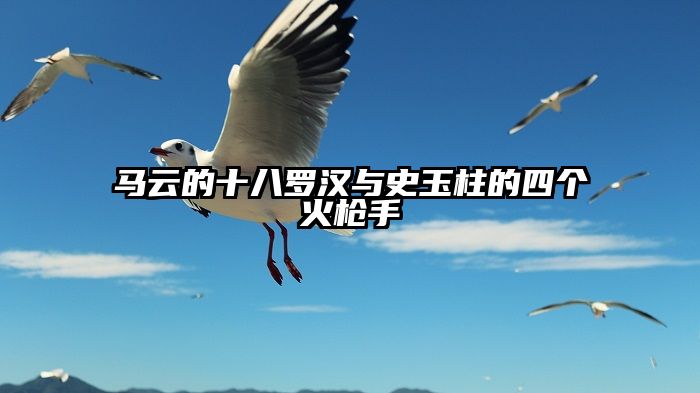 马云的十八罗汉与史玉柱的四个火枪手
