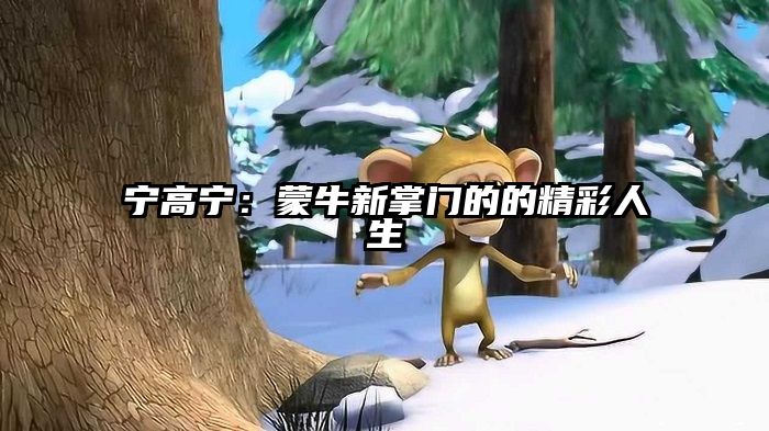 宁高宁：蒙牛新掌门的的精彩人生