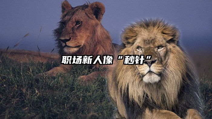 职场新人像“秒针”