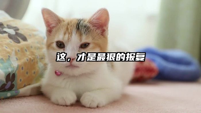 这，才是最狠的报复