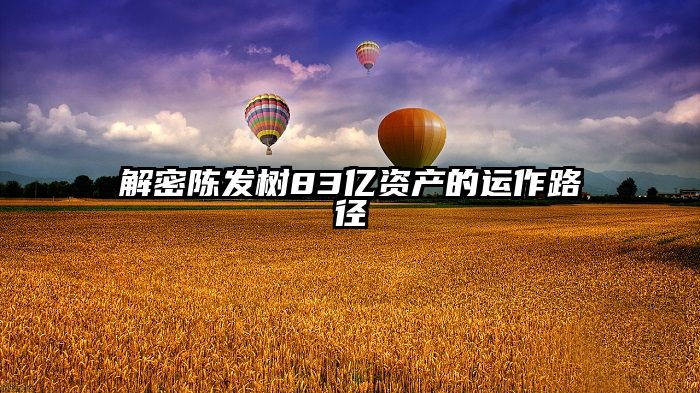 解密陈发树83亿资产的运作路径