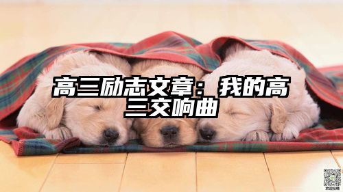 高三励志文章：我的高三交响曲