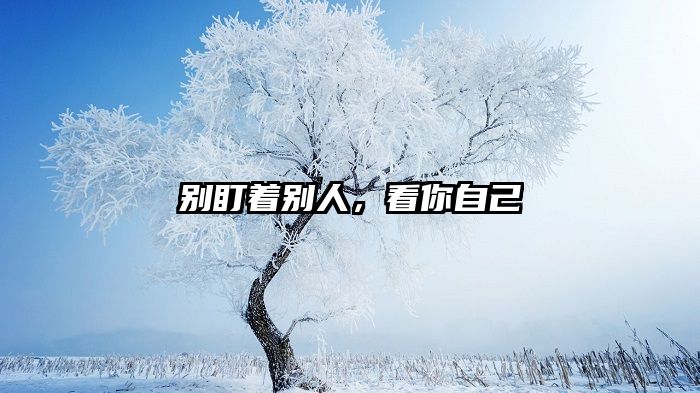 别盯着别人，看你自己