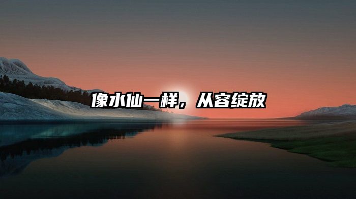 像水仙一样，从容绽放