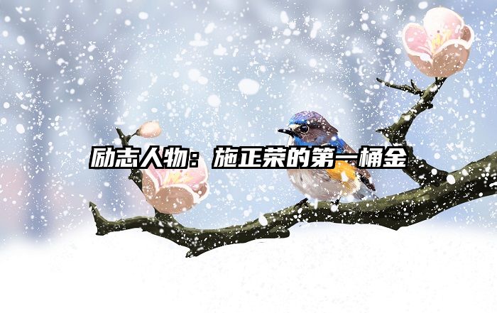 励志人物：施正荣的第一桶金
