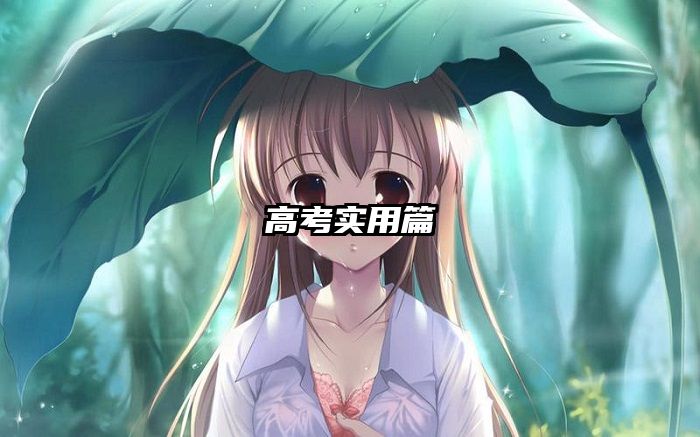 高考实用篇