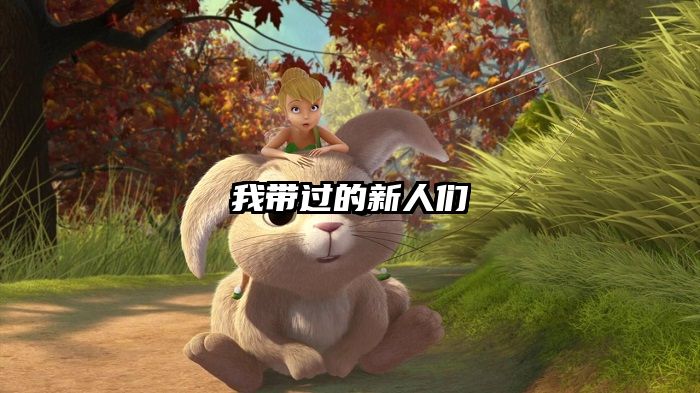 我带过的新人们
