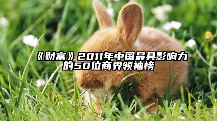 《财富》2011年中国最具影响力的50位商界领袖榜