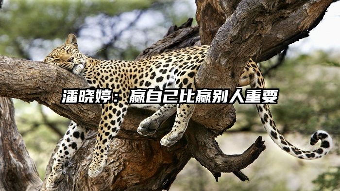 潘晓婷:赢自己比赢别人重要