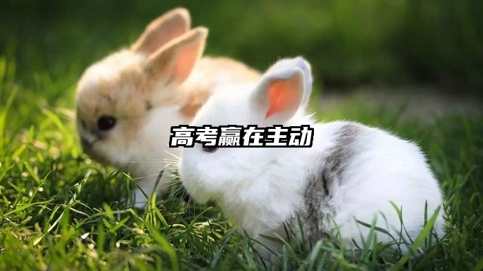 高考赢在主动