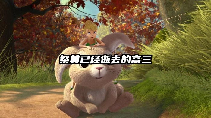祭奠已经逝去的高三