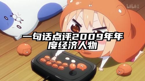 一句话点评2009年年度经济人物