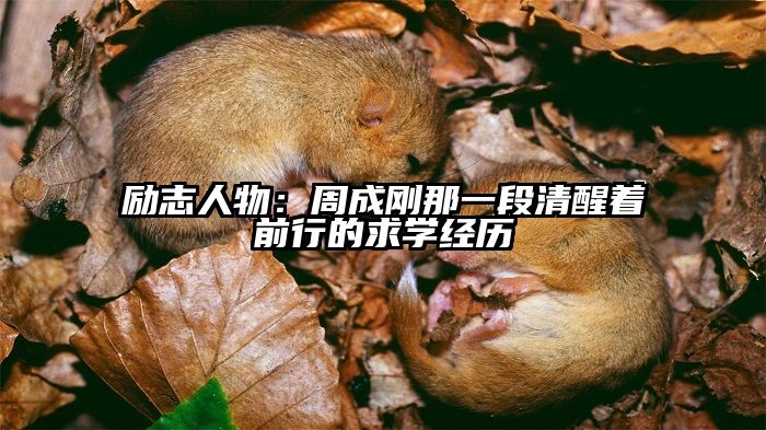 励志人物:周成刚那一段清醒着前行的求学经历