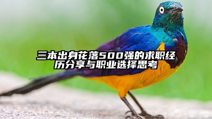 三本出身花落500强的求职经历分享与职业选择思考