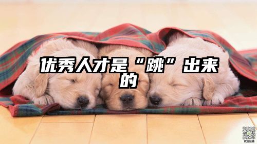 优秀人才是“跳”出来的