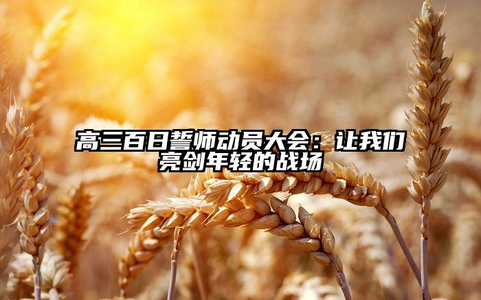 高三百日誓师动员大会:让我们亮剑年轻的战场