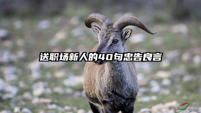 送职场新人的40句忠告良言