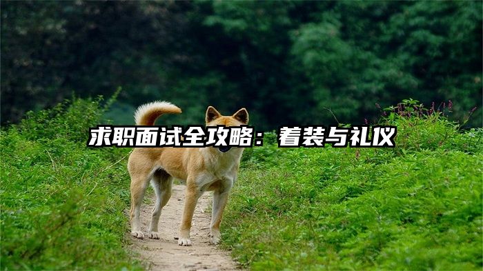 求职面试全攻略：着装与礼仪