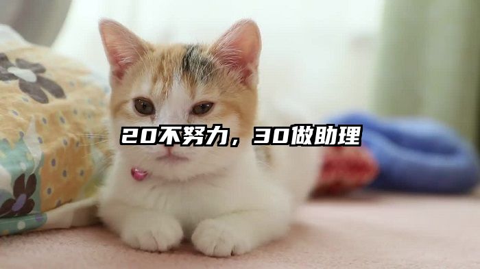 20不努力,30做助理