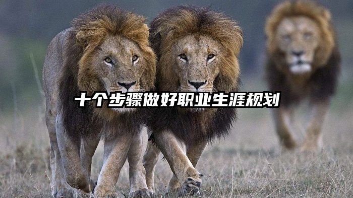 十个步骤做好职业生涯规划