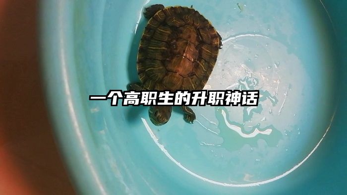 一个高职生的升职神话