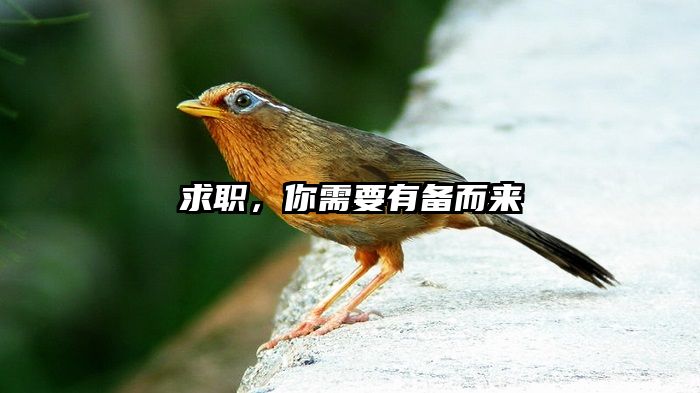 求职,你需要有备而来