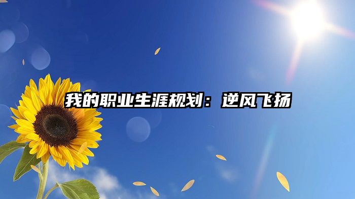 我的职业生涯规划:逆风飞扬