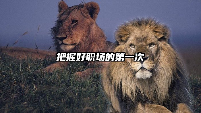 把握好职场的第一次