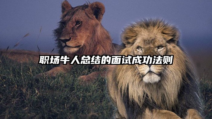 职场牛人总结的面试成功法则