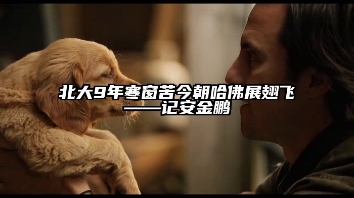 北大9年寒窗苦今朝哈佛展翅飞——记安金鹏