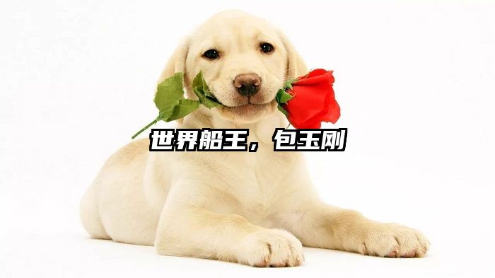 世界船王,包玉刚