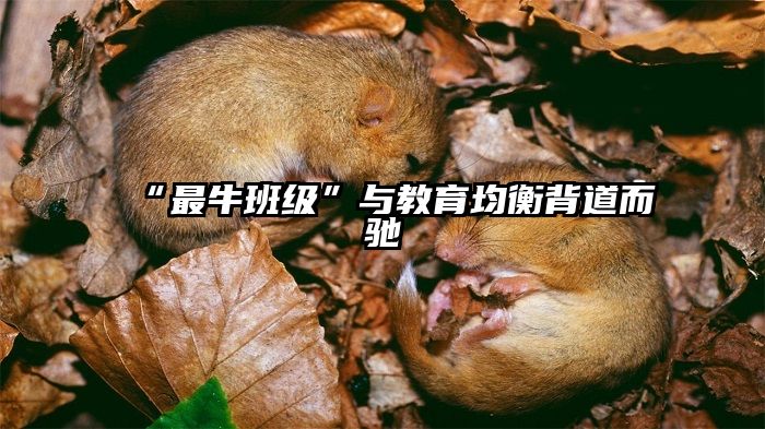 “最牛班级”与教育均衡背道而驰