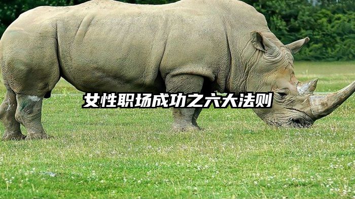 女性职场成功之六大法则