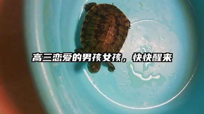 高三恋爱的男孩女孩,快快醒来