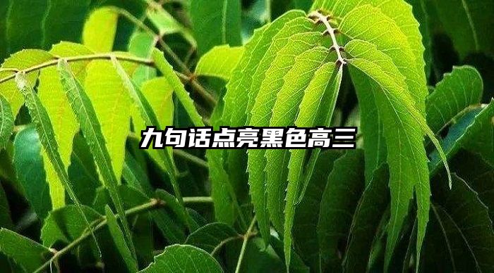 九句话点亮黑色高三