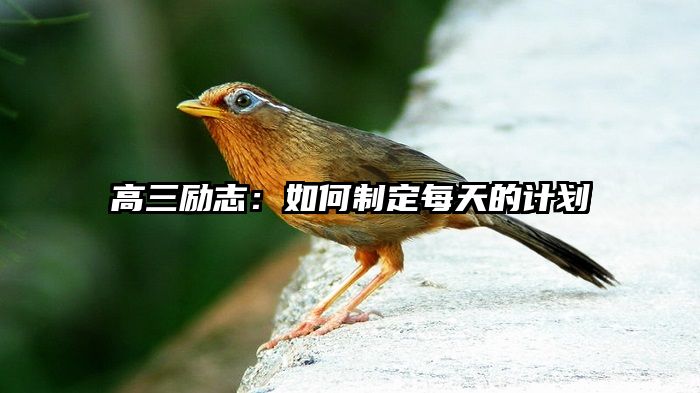 高三励志：如何制定每天的计划