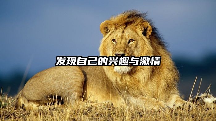 发现自己的兴趣与激情